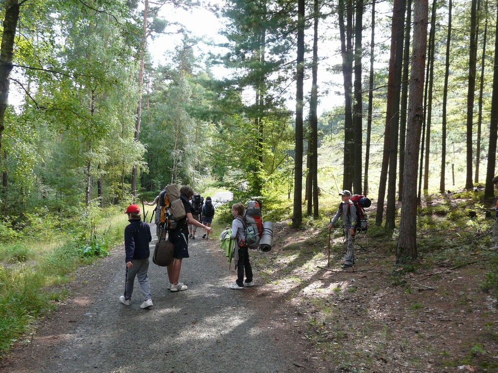 GEMINI z.s. | fotogaleire